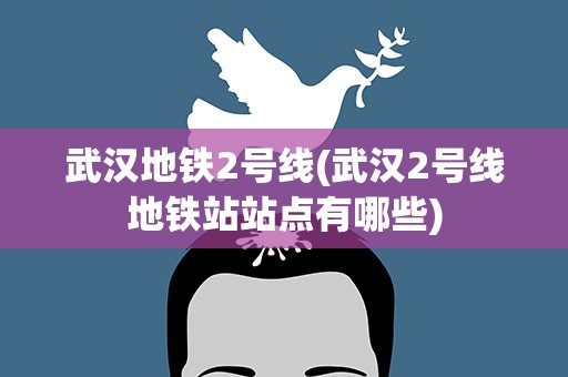 武汉地铁2号线(武汉2号线地铁站站点有哪些)