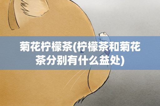 菊花柠檬茶(柠檬茶和菊花茶分别有什么益处)