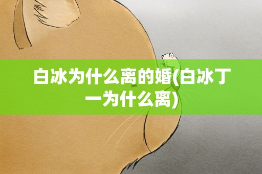 白冰为什么离的婚(白冰丁一为什么离)