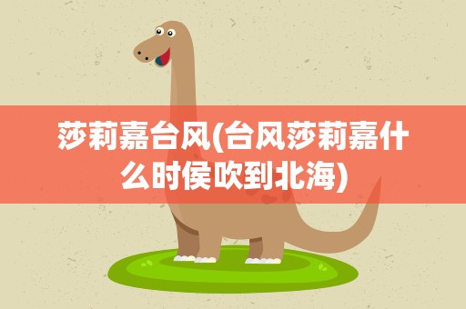 莎莉嘉台风(台风莎莉嘉什么时侯吹到北海)