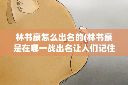 林书豪怎么出名的(林书豪是在哪一战出名让人们记住的)