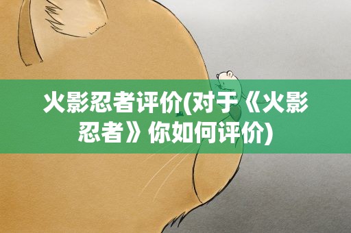 火影忍者评价(对于《火影忍者》你如何评价)
