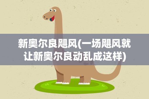 新奥尔良飓风(一场飓风就让新奥尔良动乱成这样)