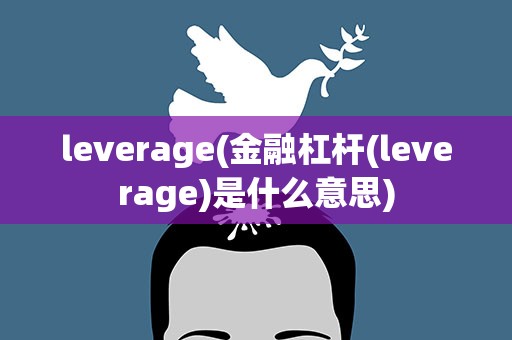 leverage(金融杠杆(leverage)是什么意思)