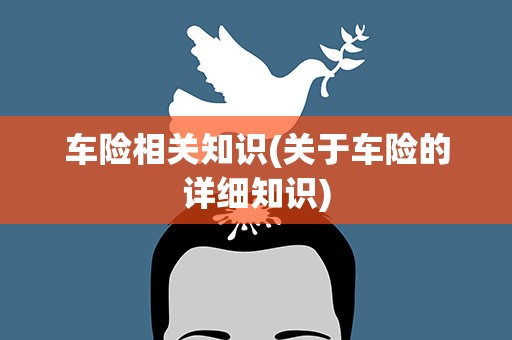 车险相关知识(关于车险的详细知识)