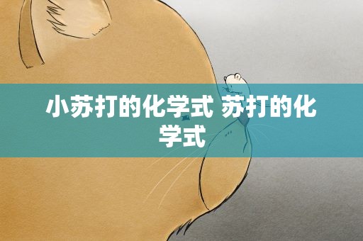 小苏打的化学式 苏打的化学式