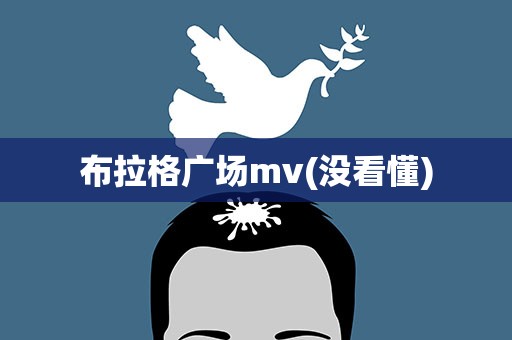 布拉格广场mv(没看懂)