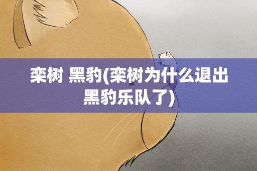 栾树 黑豹(栾树为什么退出黑豹乐队了)