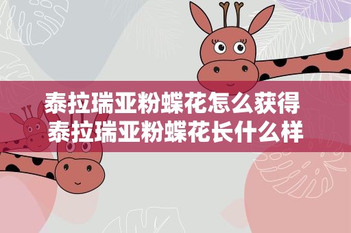泰拉瑞亚粉蝶花怎么获得 泰拉瑞亚粉蝶花长什么样