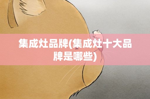 集成灶品牌(集成灶十大品牌是哪些)