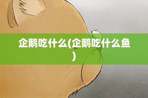企鹅吃什么(企鹅吃什么鱼)