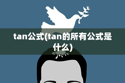 tan公式(tan的所有公式是什么)