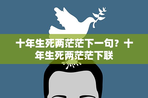 十年生死两茫茫下一句？十年生死两茫茫下联