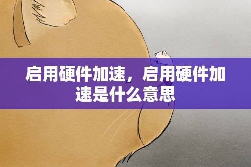 启用硬件加速，启用硬件加速是什么意思