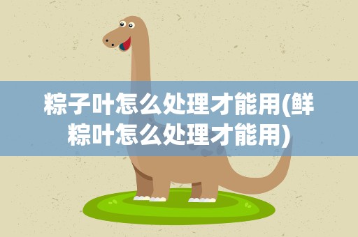粽子叶怎么处理才能用(鲜粽叶怎么处理才能用)