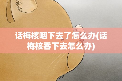 话梅核咽下去了怎么办(话梅核吞下去怎么办)