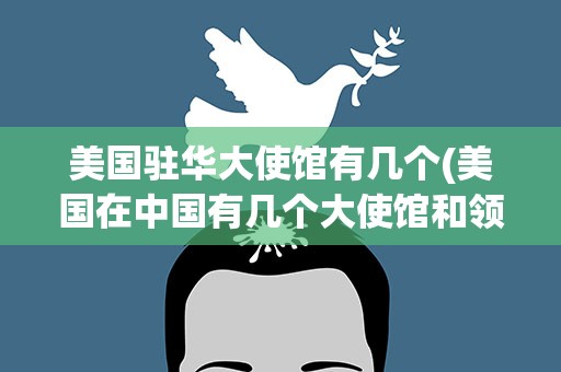 美国驻华大使馆有几个(美国在中国有几个大使馆和领事馆)