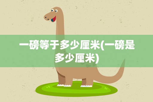 一磅等于多少厘米(一磅是多少厘米)
