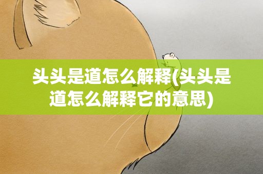 头头是道怎么解释(头头是道怎么解释它的意思)