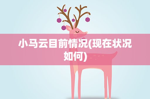 小马云目前情况(现在状况如何)