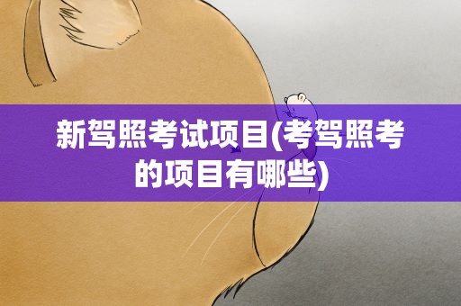 新驾照考试项目(考驾照考的项目有哪些)