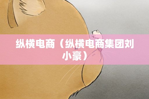 纵横电商（纵横电商集团刘小豪）