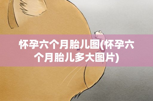 怀孕六个月胎儿图(怀孕六个月胎儿多大图片)