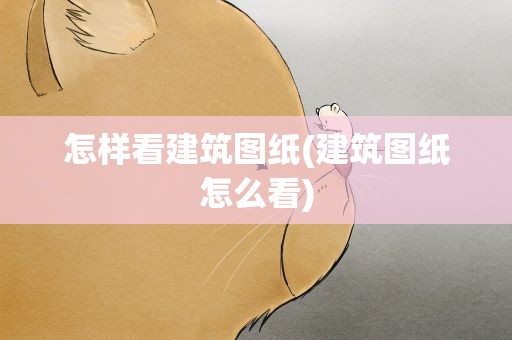 怎样看建筑图纸(建筑图纸怎么看)