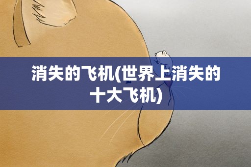 消失的飞机(世界上消失的十大飞机)