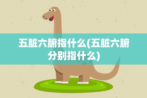 五脏六腑指什么(五脏六腑分别指什么)