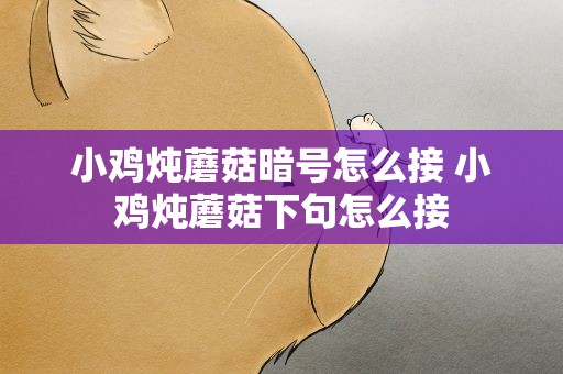 小鸡炖蘑菇暗号怎么接 小鸡炖蘑菇下句怎么接