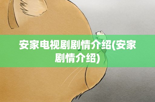 安家电视剧剧情介绍(安家剧情介绍)