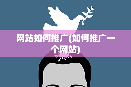 网站如何推广(如何推广一个网站)