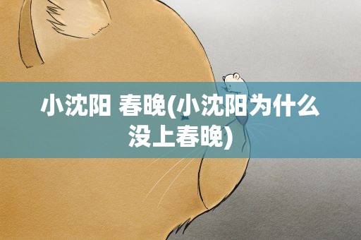 小沈阳 春晚(小沈阳为什么没上春晚)