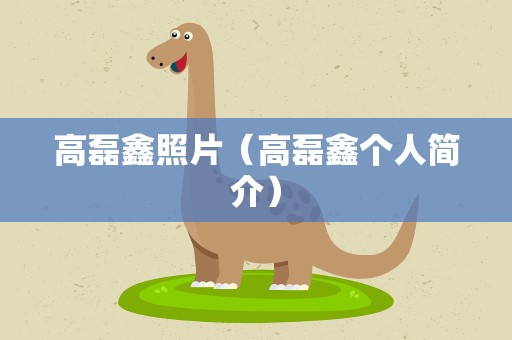 高磊鑫照片（高磊鑫个人简介）