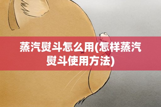 蒸汽熨斗怎么用(怎样蒸汽熨斗使用方法)