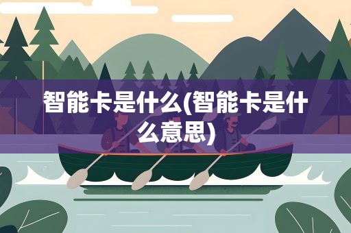 智能卡是什么(智能卡是什么意思)