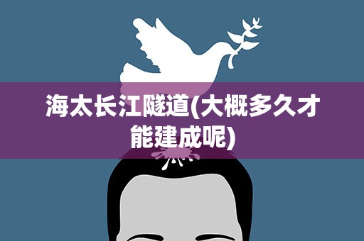 海太长江隧道(大概多久才能建成呢)