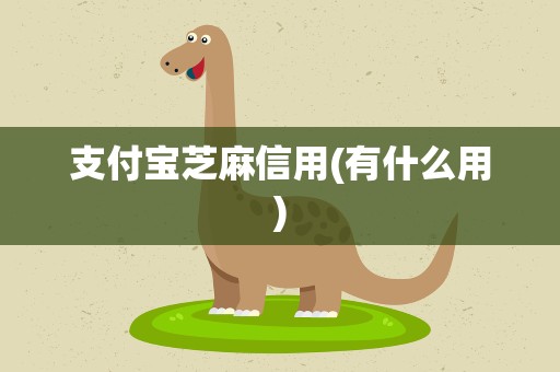 支付宝芝麻信用(有什么用)