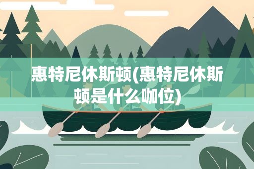 惠特尼休斯顿(惠特尼休斯顿是什么咖位)
