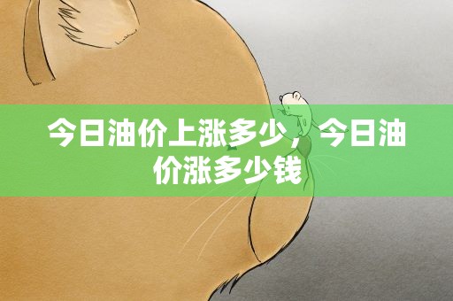 今日油价上涨多少，今日油价涨多少钱