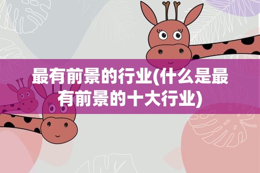 最有前景的行业(什么是最有前景的十大行业)