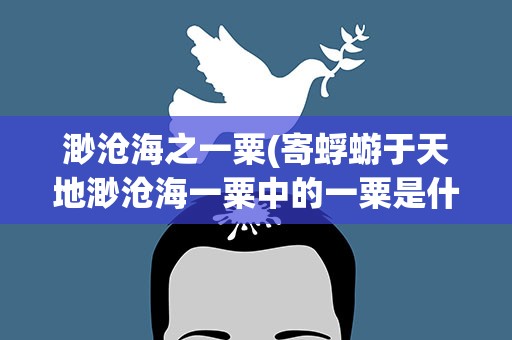 渺沧海之一粟(寄蜉蝣于天地渺沧海一粟中的一粟是什么意思)
