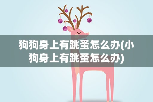 狗狗身上有跳蚤怎么办(小狗身上有跳蚤怎么办)