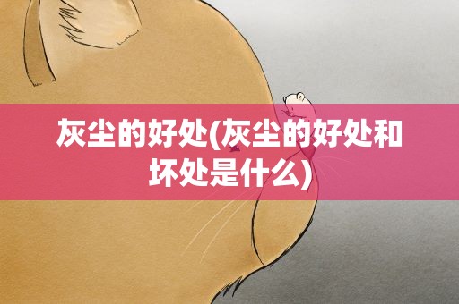 灰尘的好处(灰尘的好处和坏处是什么)