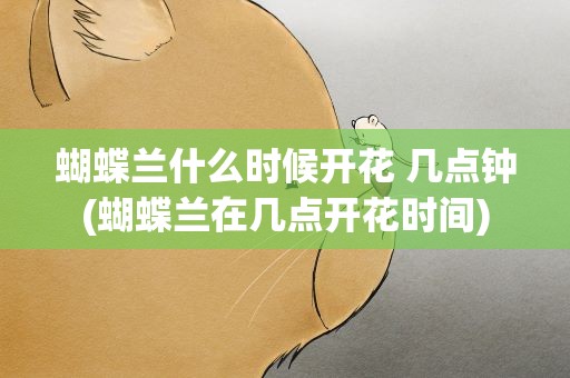 蝴蝶兰什么时候开花 几点钟(蝴蝶兰在几点开花时间)