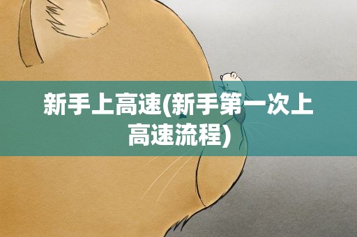 新手上高速(新手第一次上高速流程)