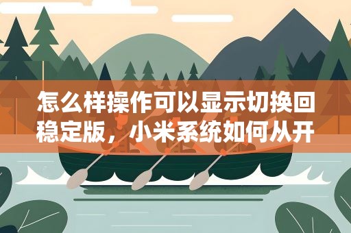 怎么样操作可以显示切换回稳定版，小米系统如何从开发者模拟切换到稳定版