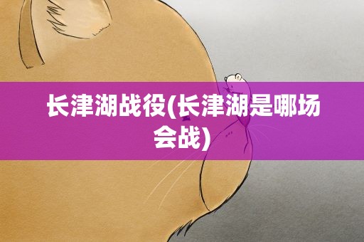 长津湖战役(长津湖是哪场会战)