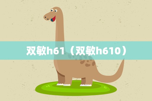 双敏h61（双敏h610）